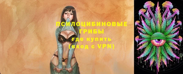 apvp Арсеньев