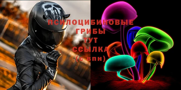 прущие крисы Белая Холуница